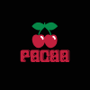 iMAGEN_PACHA-2